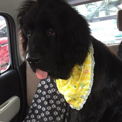 mokoのプロフィール