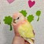 yuki2017のサムネイル