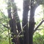 なっぱっぱ ♫のサムネイル