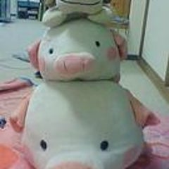 ハムのプロフィール