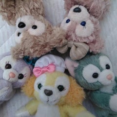 rocacoのプロフィール