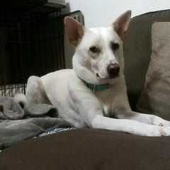 佳子のプロフィール