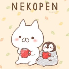 てぃまこのプロフィール