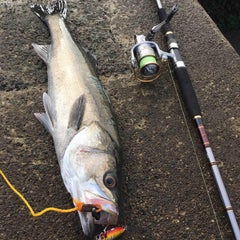 憧れの島へ In八丈島1日目 さかな生活