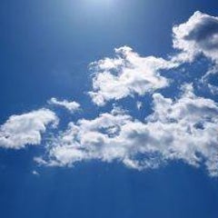 .のプロフィール
