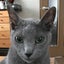 しゅまりのサムネイル