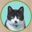 はちねこのサムネイル