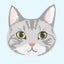 Ameoのサムネイル