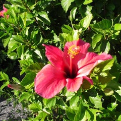 大空祐飛様お茶会での野々すみ花さんのお手紙に大爆笑 日々是ヅカ也 さすらいのヅカ日記 旧 日々是旅也 さすらいの旅日記 大空祐飛様お茶会での野々すみ花さんのお手紙に大爆笑 日々是ヅカ也 さすらいのヅカ日記 旧 日々是旅也 さすらいの旅日記