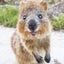 あんこのサムネイル