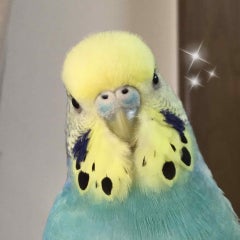 ころみのプロフィール