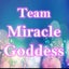 画像 team-miraclegoddessのブログのユーザープロフィール画像