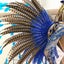 vivocomamorのサムネイル