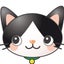 画像 保護猫活動【キララ】のユーザープロフィール画像