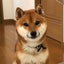 青空のサムネイル