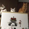 不定期ボラ 犬 猫 応援団のブログのプロフィール