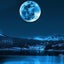 画像 岐阜市　痩身andボディケア　Blue moonのユーザープロフィール画像