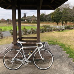 めらのプロフィール