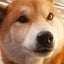画像 トヨ（柴犬の飼い主）のつぶやきのユーザープロフィール画像