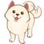 犬山　翔太のサムネイル