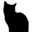 画像 幸田町の花屋さん＊フラワー教室　黒猫花房のユーザープロフィール画像