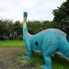 takoyakiのプロフィール