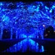 Provenceのおすすめのサムネイル