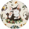 Nanaのプロフィール