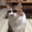 画像 アニヲタのダンスばかのユーザープロフィール画像