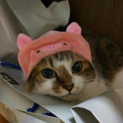 BLの母のプロフィール
