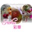 画像 小さなお花雑貨 Iroha＊彩華のユーザープロフィール画像