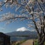 画像 リハビリ生活 * 時々富士山　　　　　脳梗塞半身マヒ回復への道のりのユーザープロフィール画像