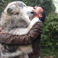 ふわふわ　もふもふ　ぼ〜ちぼちのプロフィール