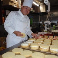 吉田　峻 (Shun Yoshida)のプロフィール