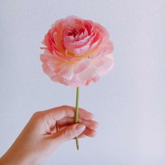Ninaのプロフィール