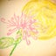 画像 花咲く占星術～コウヤボウキの灯り～のユーザープロフィール画像