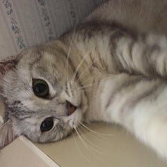 どんぐりのプロフィール