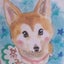 画像 ピスコのブログ　柴犬茶子たんのユーザープロフィール画像