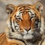 leeのサムネイル