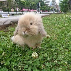 NAEのプロフィール