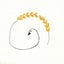 画像 京都 四条河原町 小さな美容室seul hair（スールヘア）《肌に優しい》をコンセプトにしているサロンです 白髪染め ヘアカラーのユーザープロフィール画像