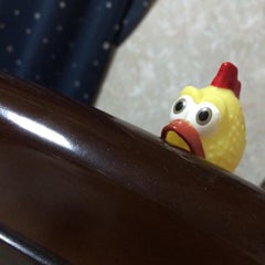 ちーまーのプロフィール