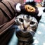 出戻り猫おばさんのサムネイル