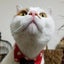 すうのサムネイル