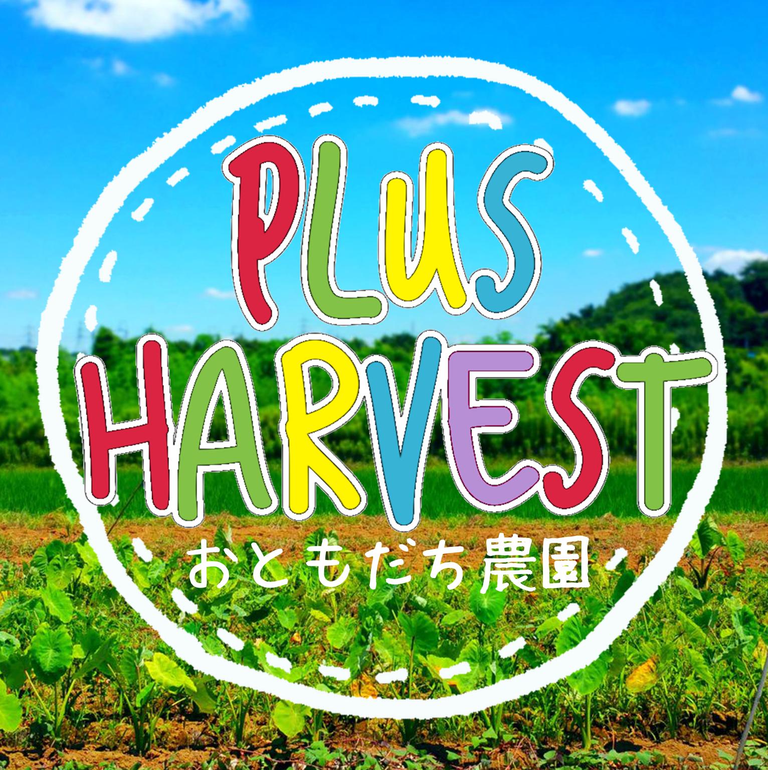 鉄腕dashで見たのだけど 揚水風車 自作できないかな Plus Harvest おともだち農園へ ようこそ