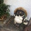 台所ねえさんのサムネイル