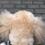 けーこのサムネイル