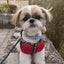 画像 シーズー犬と あゆこ(鮎ちゃん)の ゆるーい ブログのユーザープロフィール画像