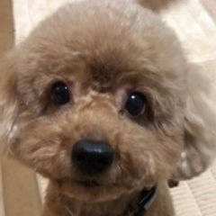ハマおじさんのプロフィール