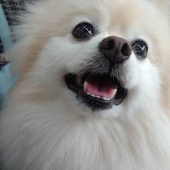 けー子のプロフィール
